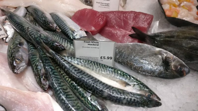 日本とはかなり違うイギリスの魚事情 高い 種類が少ない 生食できない ウツミチ ロンドン暮らし
