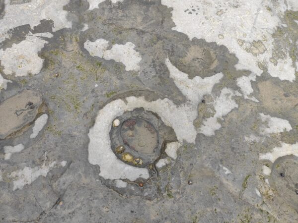 ドーセット旅行③ジュラシック海岸でアンモナイトの化石探し 